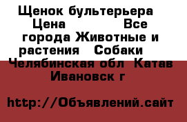 Щенок бультерьера › Цена ­ 35 000 - Все города Животные и растения » Собаки   . Челябинская обл.,Катав-Ивановск г.